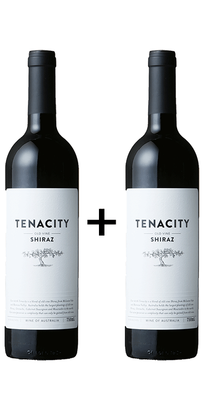 1+1 טו הנדז טנסיטי